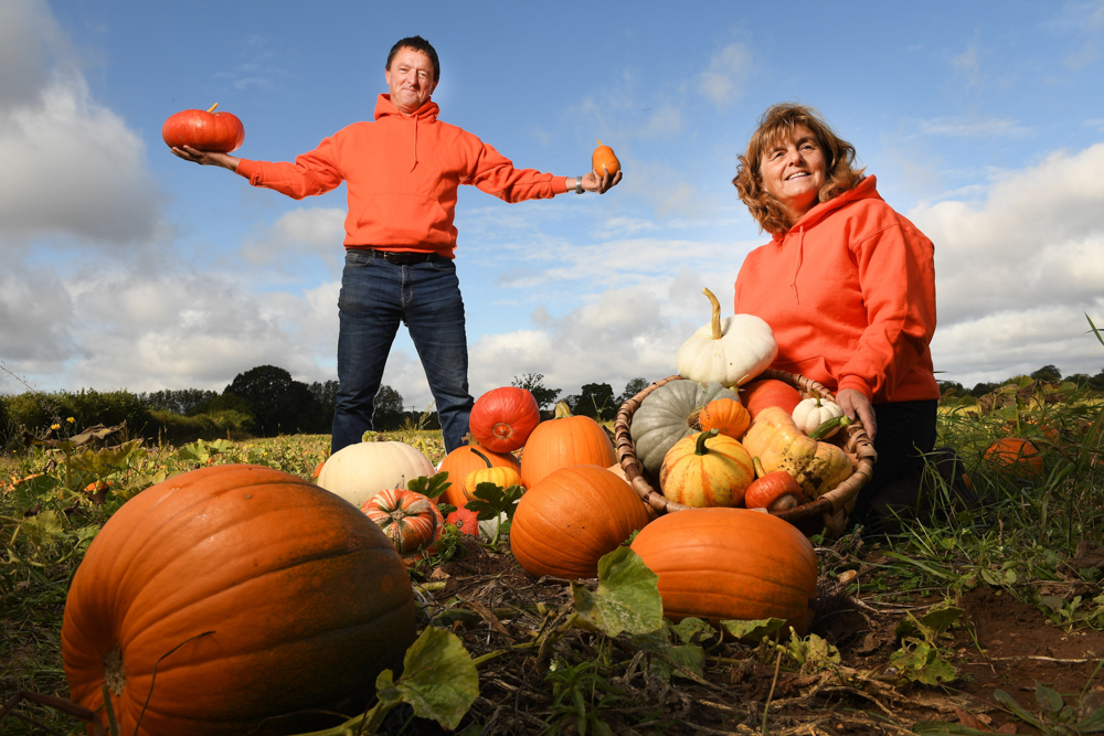 sompting pumpkin patch