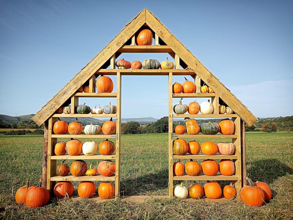 best pumpkin patches in Sussex