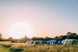 macs farm campsite ditchling