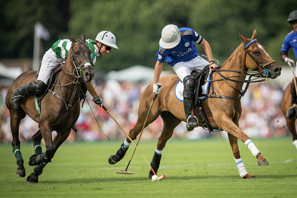 cowdray park polo gold cup photo by mark beaumont