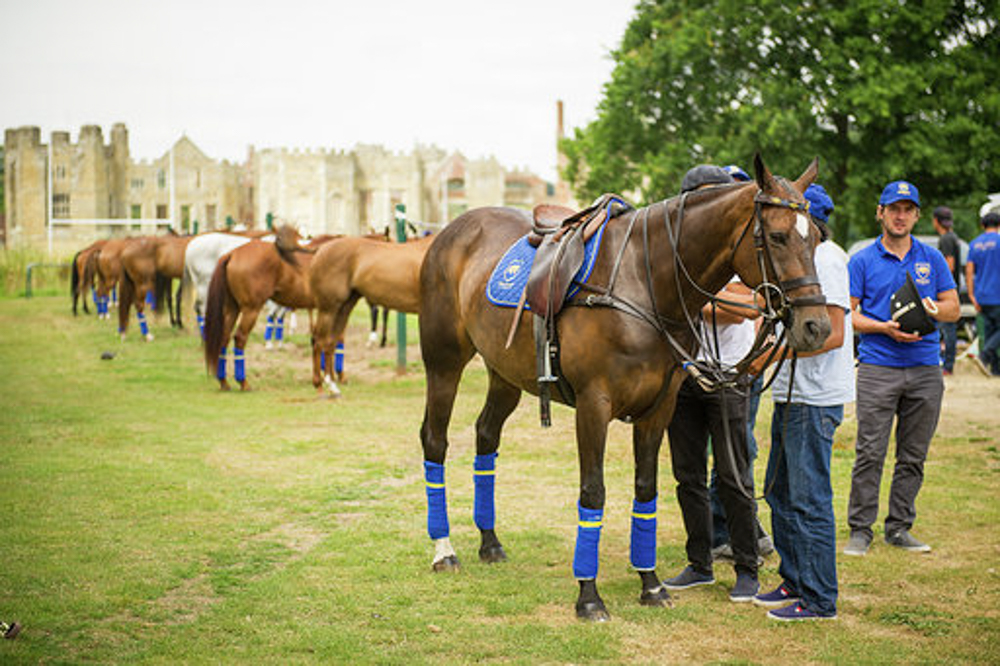 cowdray park polo gold cup photo by mark beaumont