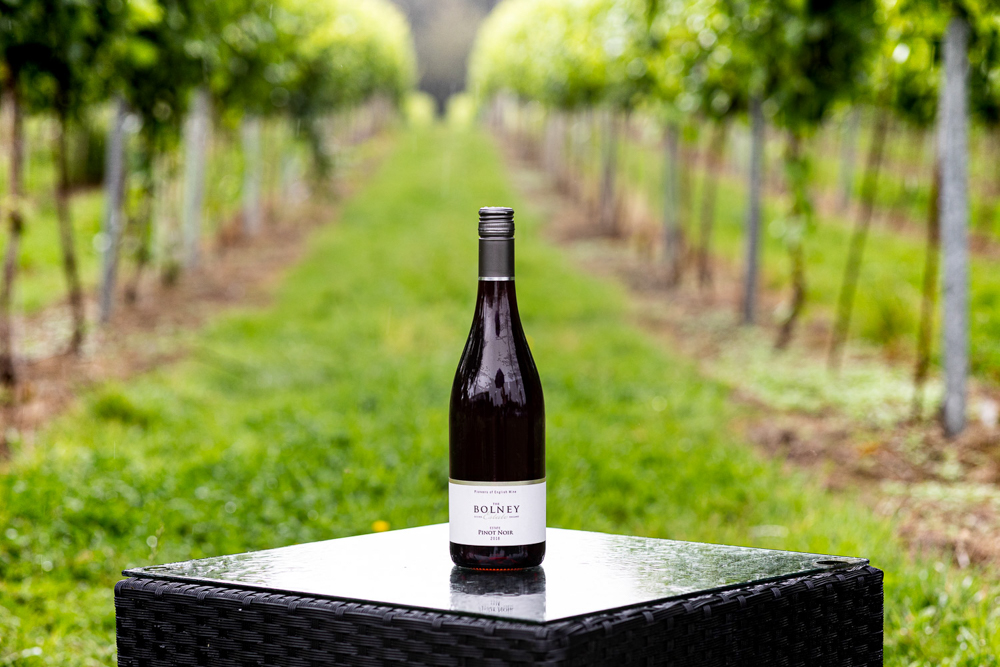 bolney vineyard pinot noir