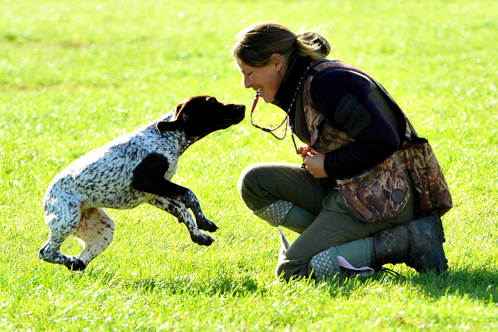 autumn show & game fair