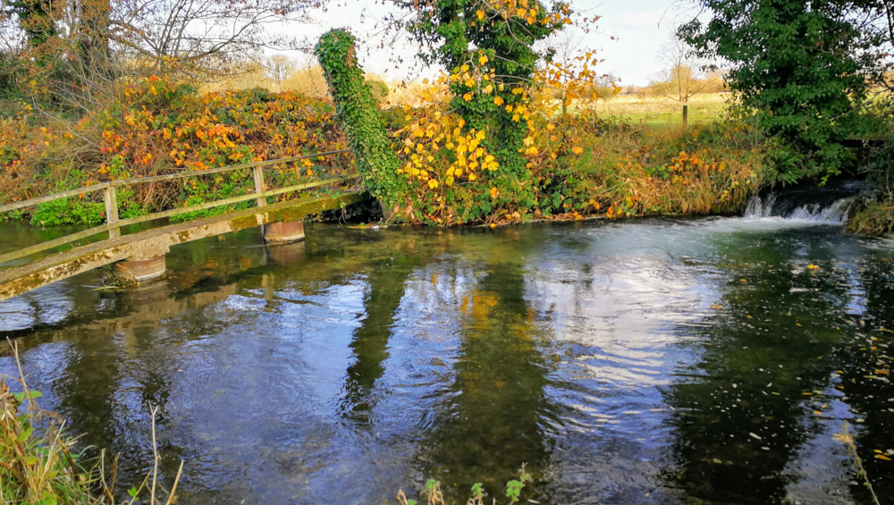 fly fishing experience in surrey