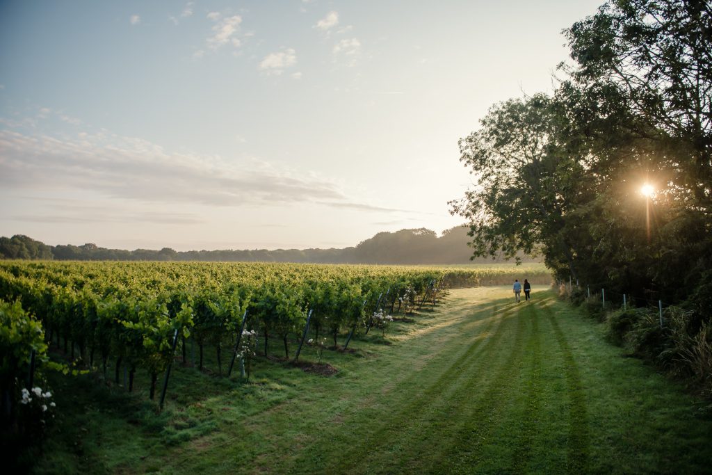 Gusbourne Restaurant Pop Up Series