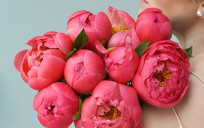 peonie flowers