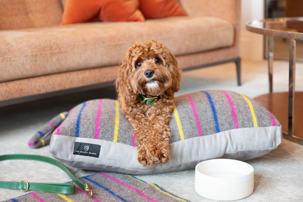 dog friendly hotels in London