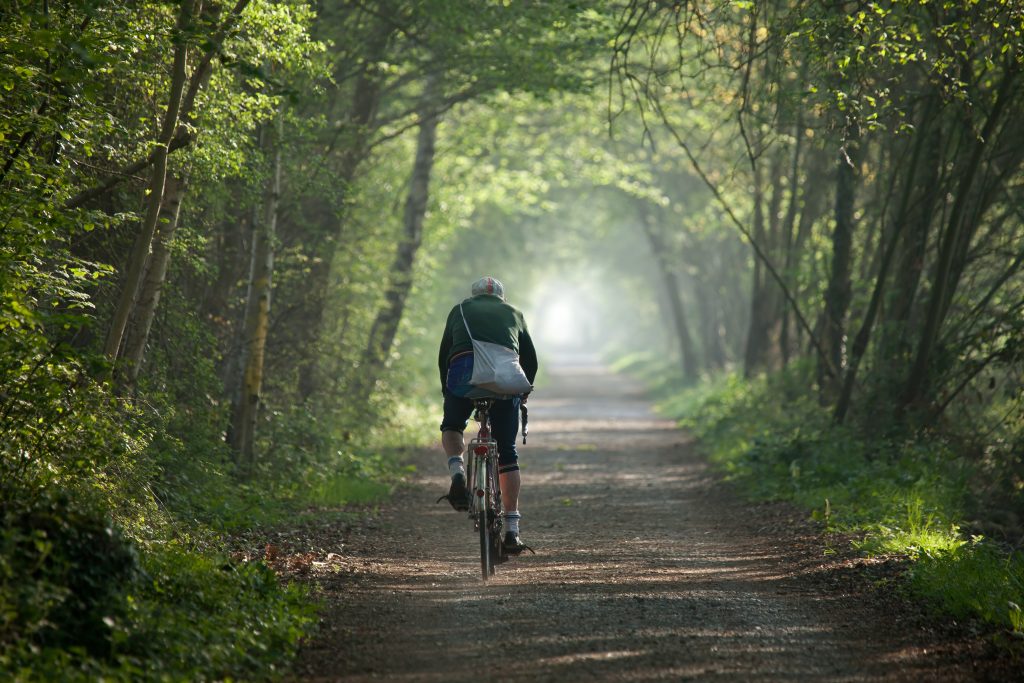 Best cycling routes in Sussex