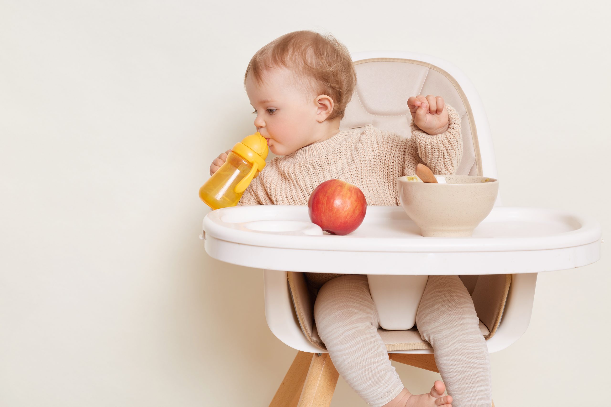 best highchairs to buy