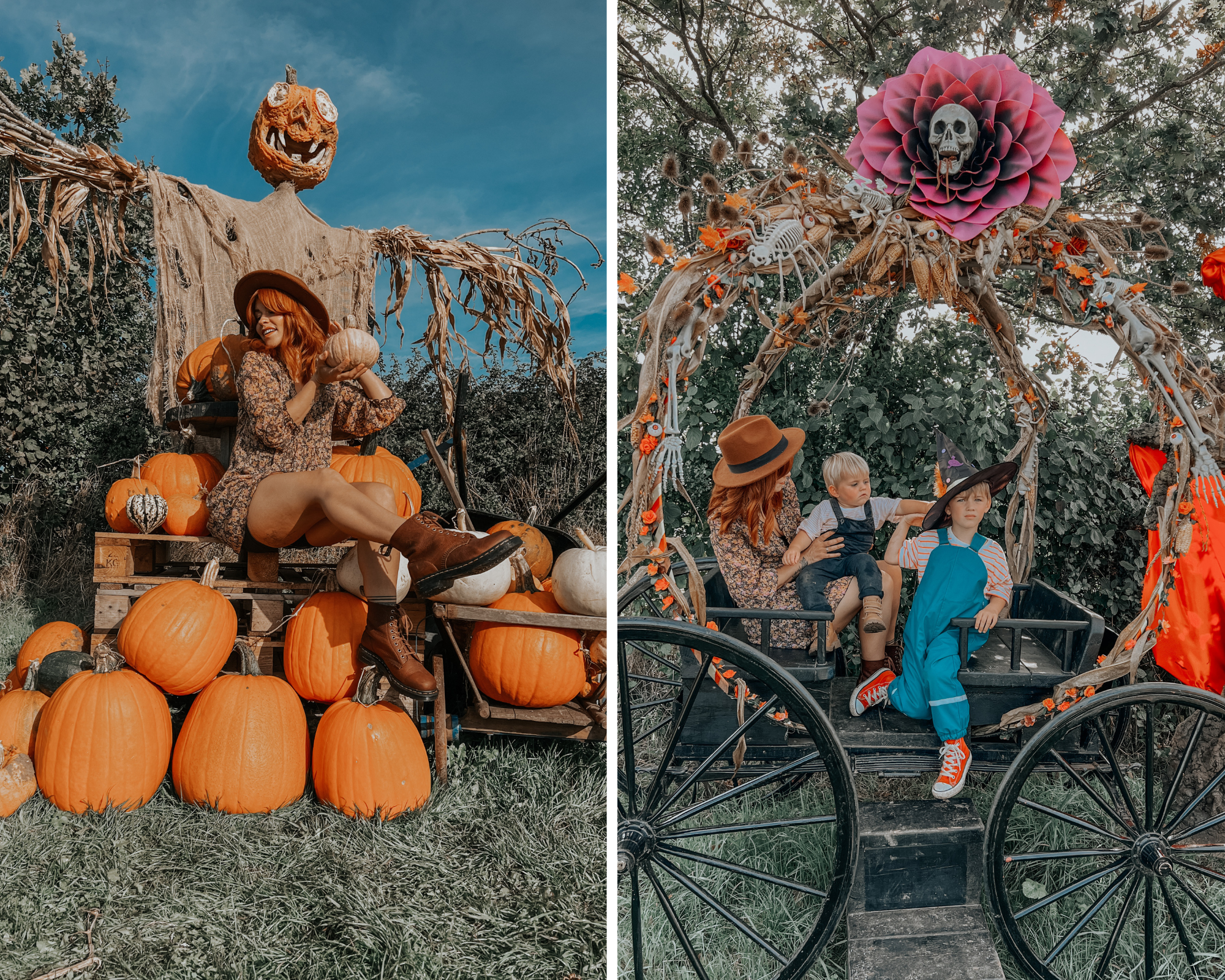 Pumpkin picking in Brighton